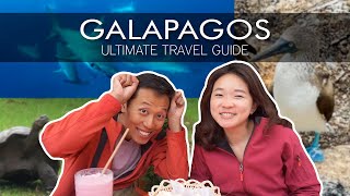 GALAPAGOS: ULTIMATE TRAVEL GUIDE | Top 10 BEST day trips & dive sites
