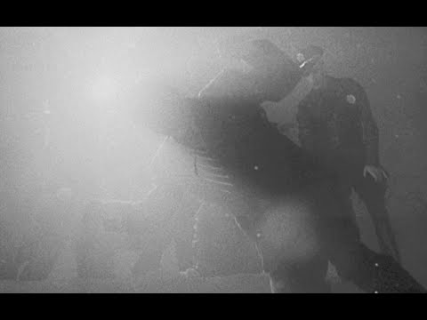 Full of Scorpions - Everything was Beautiful and Nothing Hurt