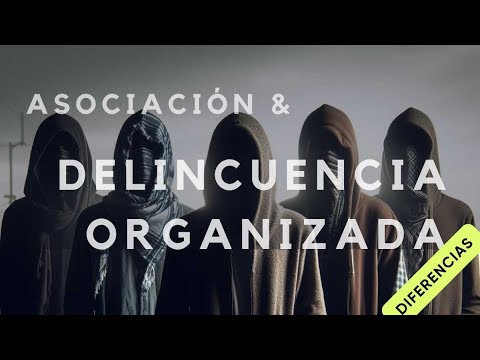 Delincuencia organizada y asociación delictuosa. Explicación fácil