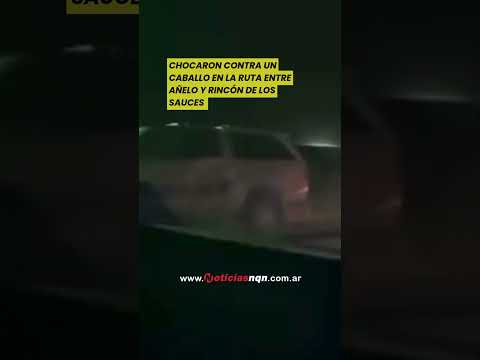 Chocó contra un caballo en la ruta entre Añelo y Rincón de los Sauces