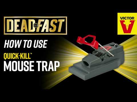 Deadfast Quick-Kill Mouse Traps Video