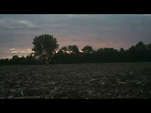 Soybean Timelapse
