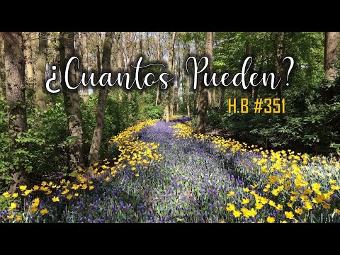 ¿CUÁNTOS PUEDEN? | Himno Bautista #351