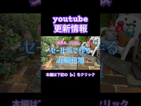 植物を屋外に順応させるにはどうすればよいですか?苗や観賞用のグリーンはいつ取り出すのですか？  庭園