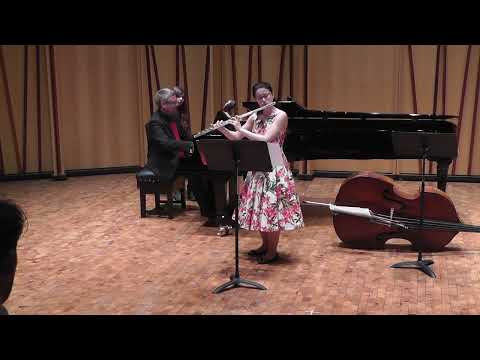 Ian Clarke: Hatching Aliens - Part 2 Alien Chill Out #flute