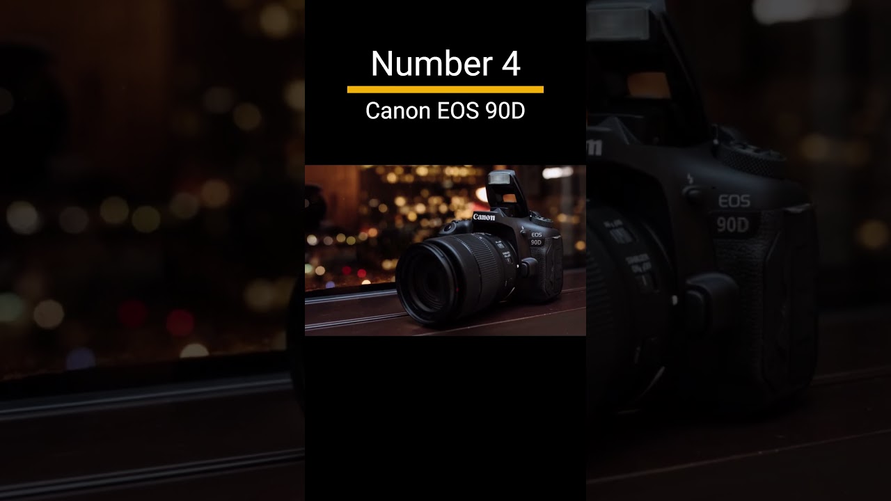 Top 5 Best Canon Cameras for Wildlife Photography in 2025