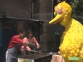 Sesame Street Wish You Were Here East Harlem New York