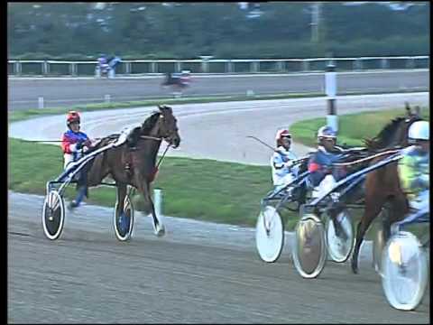 Trotto 05/11/2015 - 4° corsa