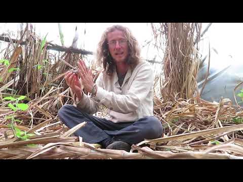 Impuls und kinetische Energie (verstehe den Unterschied ohne Formeln)