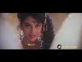 Phool Phool Pe Bani Teri Tasveer Kavita Krishnamurthy Udit Narayan Phool Songs Madhuri