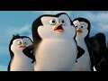 Пингвины из Мадагаскара: Чемпионат Арктики ( The Penguins of Madagascar ) 