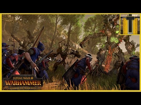 Total War: WARHAMMER- Durthu Wood Elf Campaign Part 10