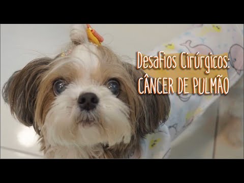 Desafios Cirúrgicos: Câncer de Pulmão