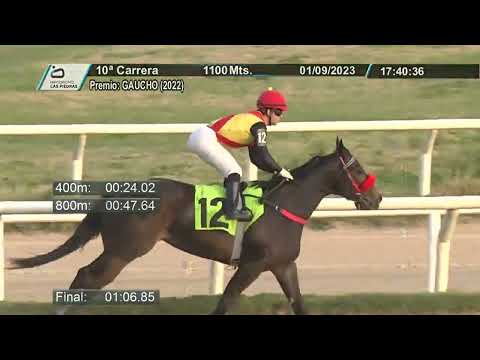230901 c10 - HERMOSA PINGA - HIPODROMO LAS PIEDRAS