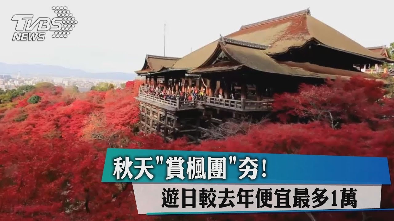 秋天「賞楓團」夯! 遊日較去年便宜最多1萬