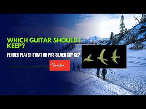 Which Guitar Will I Keep- My Fender Player Strat OR My PRS Siver Sky SE?