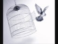 BIRD Wmv