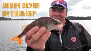 Ловля окуня на пилькеры.