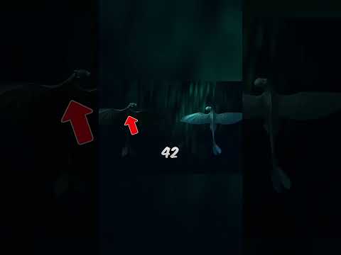 The Night Light Hybrid