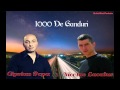 CIPRIAN POPA&NICOLAE LACATUS-1000 DE ...