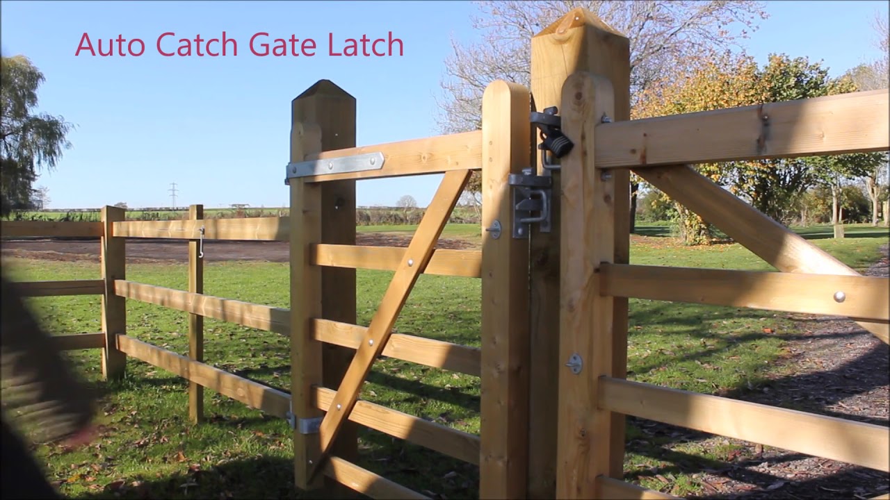 thumbnail--OSke3Dacas