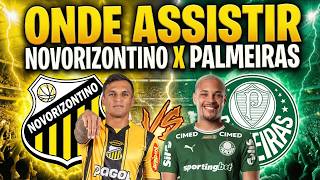 ⚽️ ONDE ASSISTIR PALMEIRAS X NOVORIZONTINO AO VIVO | CAMPEONATO PAULISTA 2026 | PAULISTÃO