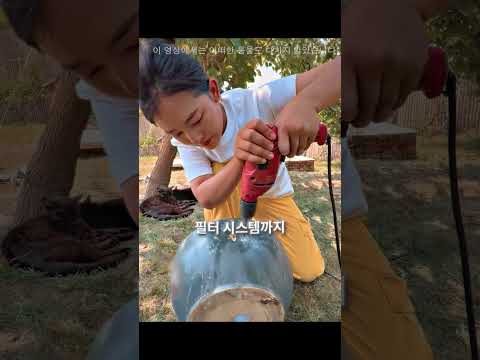 고양이들이 더러운 물을 마시고 있었다 🐱😢