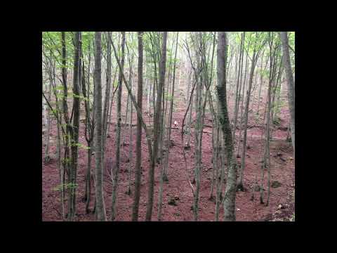 Marco Moresco - Crazy for opera