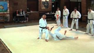 preview picture of video 'Aikido Course 25/09/2011'
