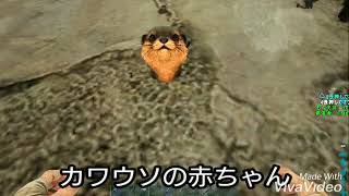 【ARK】いろんな赤ちゃん！かわいいーー