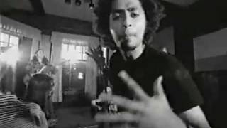 I'm a Hippie Music Video