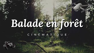 BALADE EN FORÊT｜Cinematic Video