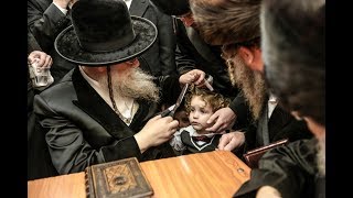 כ''ק האדמו''ר ממודז'יץ במירון ובצפת
