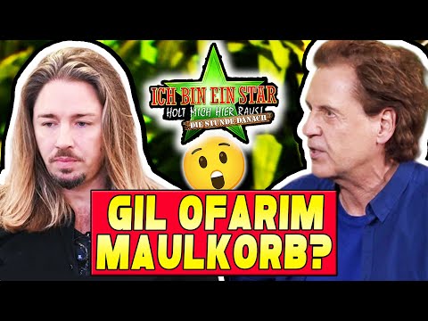 The Hour After: A NEW LIE from GIL OFARIM? JÖRG KNALLHART! - I'm a Celebrity...Get Me Out of Here...