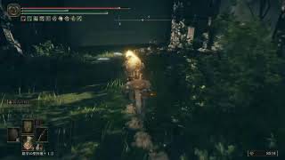 ELDEN RING:DLC#18