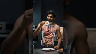 What Happens When You Eat Eggs? | Parasites Inside! | 3D Educational Animation