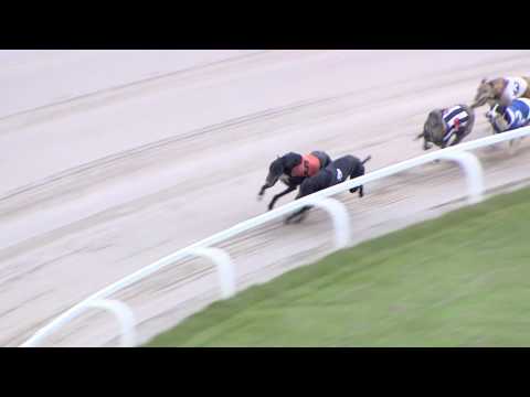 2017 STAR SPORTS DERBY - ROUND 2 - HEAT 2 - T5 JAYTEE JET