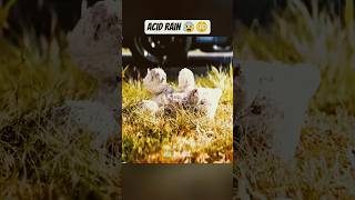 Acid Rain can be Deadly 😱😰