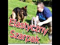 Elastyczny Szarpak dla Psa - 1