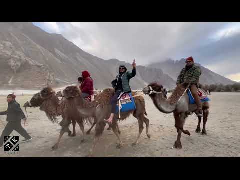 Camel Riding || Episode 33 || Hundar Nubra valley ||19days North India travel diary