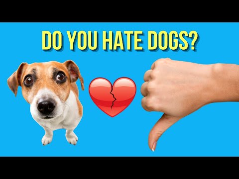 YouTube video about: Why are dog owners so arrogant?