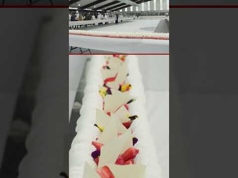 فيديو | أكبر كعكة فراولة في العالم من نصيب فرنسا