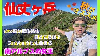 Mount Senjogatake, the queen of the Southern Alps, is recommended for autumn foliage climbing. Be...