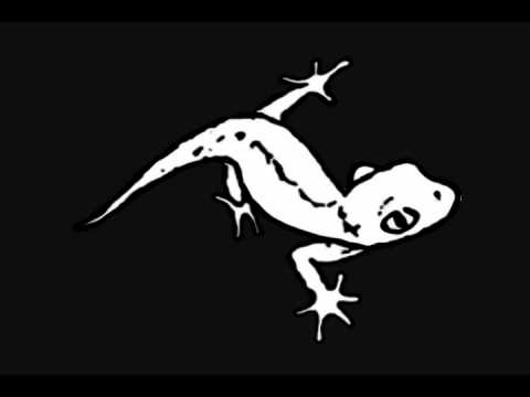 Geck-o - The Word Is Out