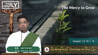 Homily - 25th October, 2025 - Dn. Anthony Raj  C.Ss.R.