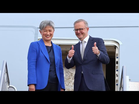 ‘Pussycats’: Albanese and Wong ‘shout and bully’ Israel but stay quiet about China