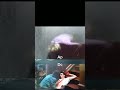 Roman Bridger VS Billy Loomis