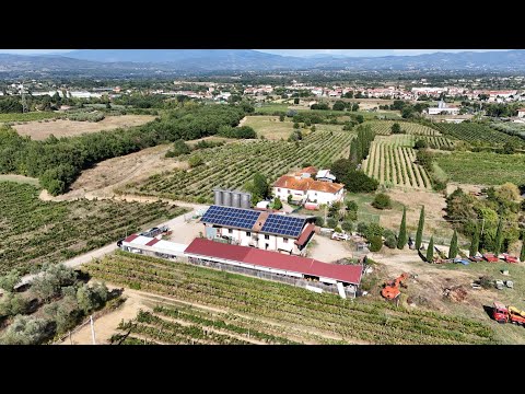 Tuscan Vineyard For Sale, BUY IT NOW! 🍷🇮🇹