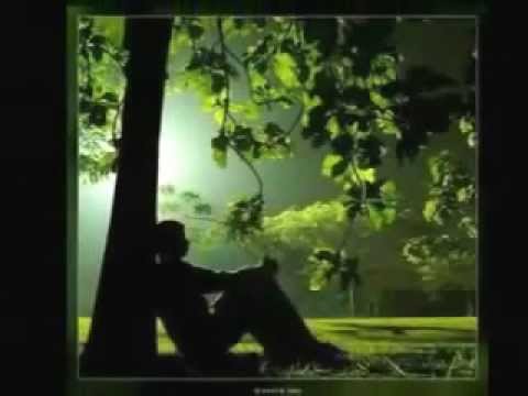 Grażyna Świtała - Tak jak przed laty