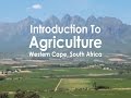 Introduction To Agriculture Western Cape South Africa